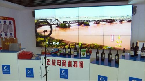 京東集團(tuán)西北區(qū)總部考察青銅峽市電子商務(wù)服務(wù)，共謀區(qū)域數(shù)字經(jīng)濟(jì)發(fā)展新篇章